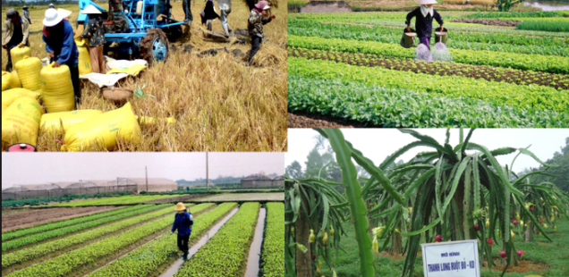 Растениеводство и Животноводство во Вьетнаме