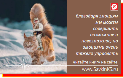 Сколько людей, оказывались в ложном потоке ожиданий и иллюзий, которые водили их по кругу одних и тех же действий, вызывая одни и те же эмоции каждый день изо дня в день, из года в год, но задумывались ли они об этом...